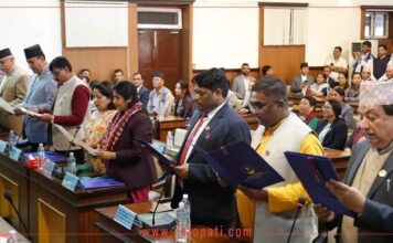 Chairpersons of all 10 parliamentary committees take oath