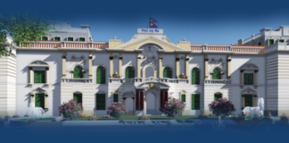 Banks and financial institutions face NRB’s regulatory action