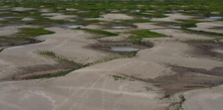 Global warming was primary cause of unprecedented Amazon drought, study finds