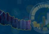 Economic Digest: Nepal’s Business News in a Snap