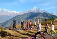 Yoga Day: 5 easy yoga poses for beginners to start a healthy lifestyle