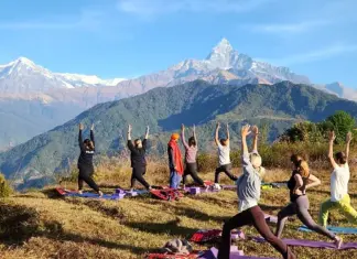 Yoga Day: 5 easy yoga poses for beginners to start a healthy lifestyle