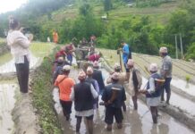 Matane locals rejoice Bethi after three decades