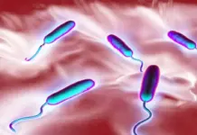 Two more cholera cases reported in Lalitpur, national total reaches 25