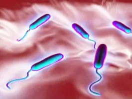 Two more cholera cases reported in Lalitpur, national total reaches 25