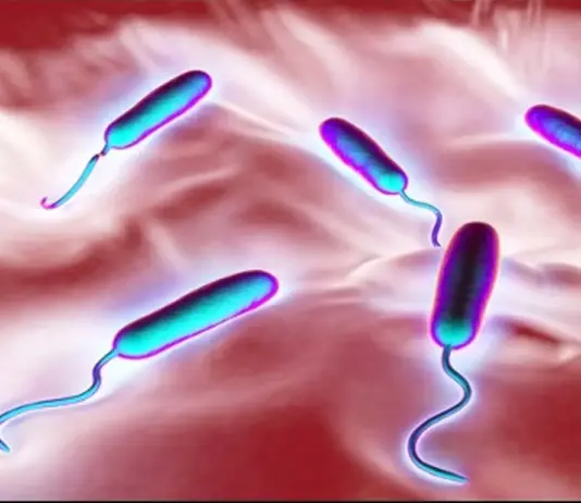 Two more cholera cases reported in Lalitpur, national total reaches 25