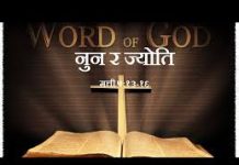 Angels of the Bible: Serving God by Serving Us